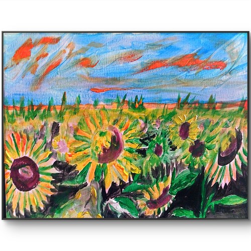 Campo girasoli moderno - campo,
