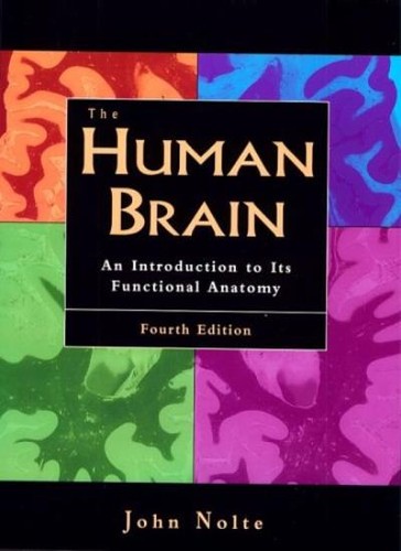 The human brain an - the,
