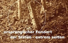 Messico Maya reperti di stele