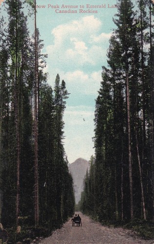 Canada postcard snow peak - canada,
