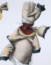 1866,ANATOMIA UMANA N.H. GIACOBBE COLORE MANO XAL