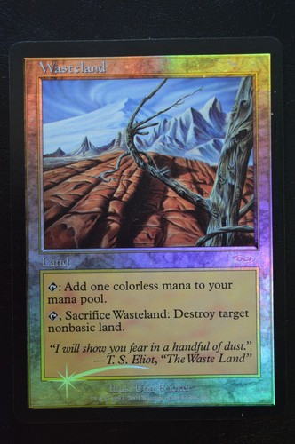 Magic mtg wasteland - mtg, hp