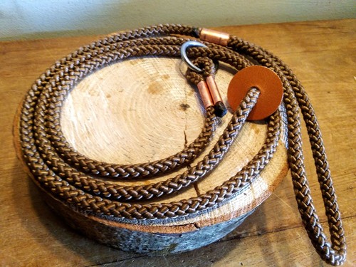 Guinzaglio scivolo cane