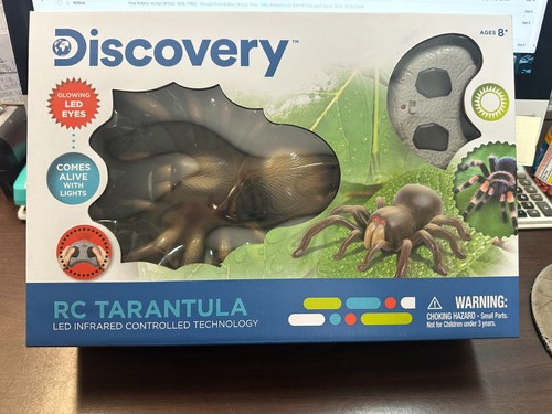 Discovery ragno tarantola - discovery’s,