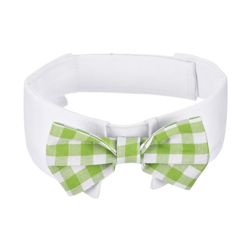 Papillon per cane - papillon,