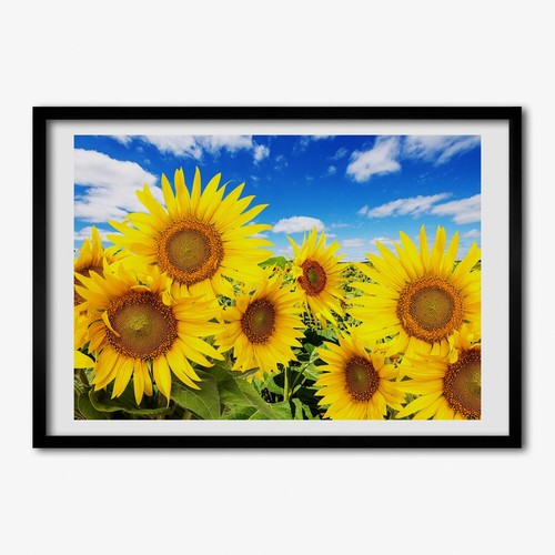 Quadro tulup mdf - quadro,
