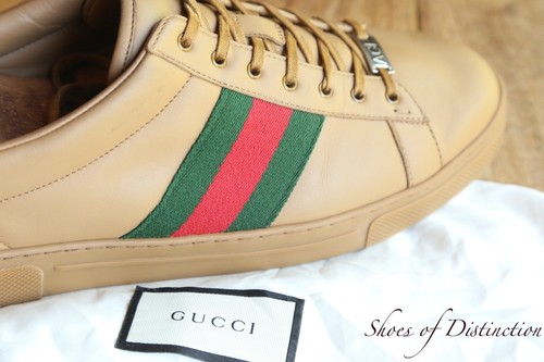 Gucci ace brown ribbon trim - gucci,