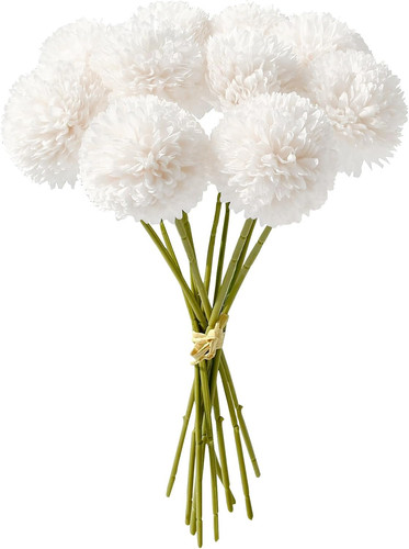 Fiori ortensia - fiori,