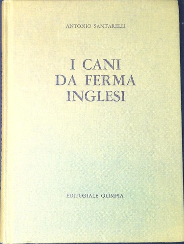 Cani ferma inglesi - cani,