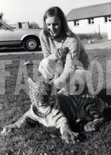 Foto vintage UK, Tigre al