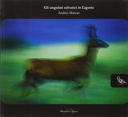 Libro andrea marsan gli - marsan,