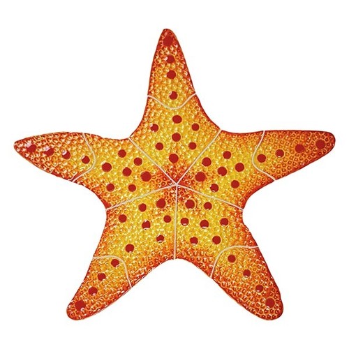 Mosaico stella marina per - mosaico,