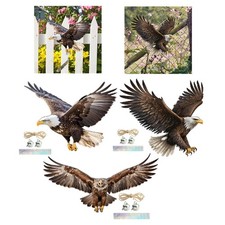 Ornamento aquila, regalo facile da appendere, attraente cartello piatto 2D