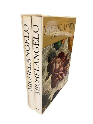 Michelangelo istituto - michelangelo,