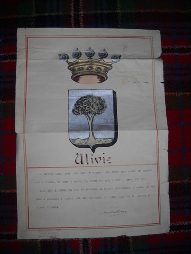 Famiglia ulivi stemma - -,