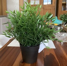 IKEA FEJKA pianta in vaso