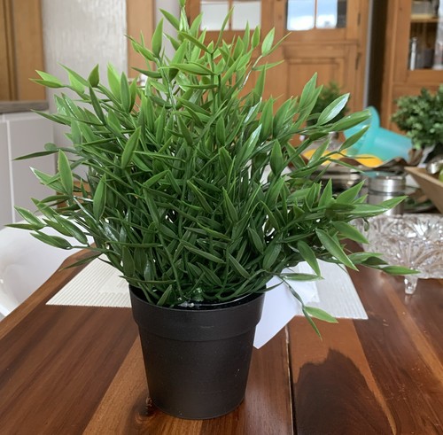 Ikea fejka pianta vaso - in,