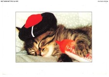 ASHP3-0157-GATTO - Gattino Che Dorme Con Un Cappello E Un Biberon
