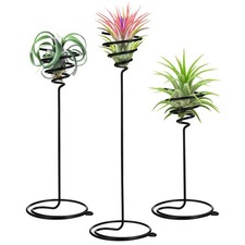  3 Pcs Porta Tillandsia Alzata Per Fiori Matrimonio Portacomposizioni Floreali