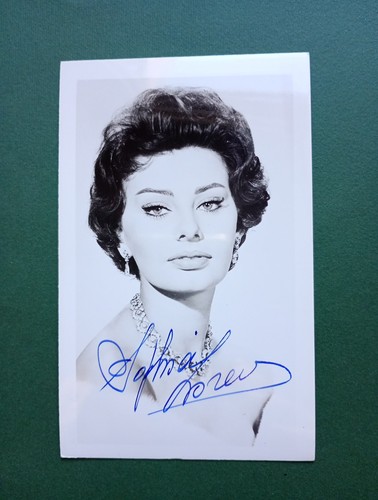 Autografo sophia loren - autografo,