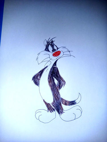 Disegno gatto silvestro - disegno,