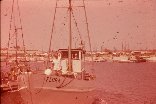 C1970 ektachrome 35mm - ektachrome, slide