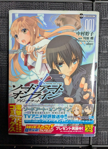 Sword art online aincrad 1st - art,