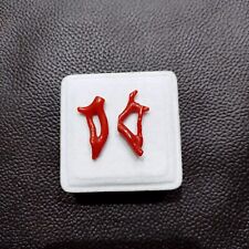 Antico ramo di corallo rosso