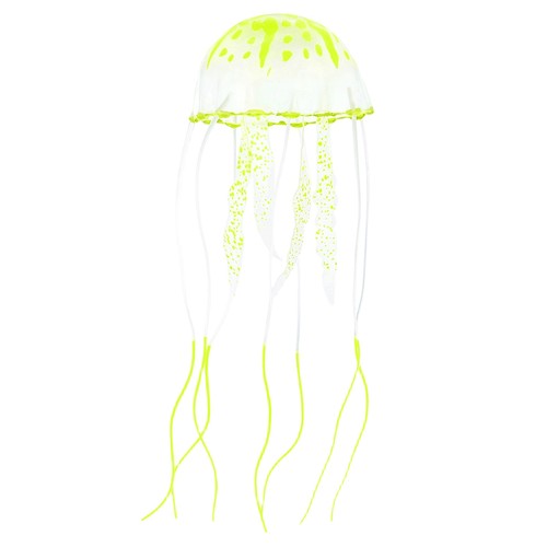 Confezione meduse - confezione,
