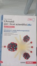 Amaldi per licei - l'amaldi, i