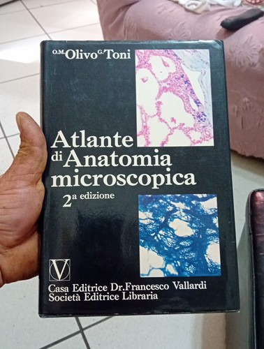 Atlante anatomia - atlante, di