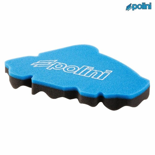 Polini p2030168 spugna - polini, filtro