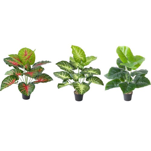 Pianta finta decorazione - , da