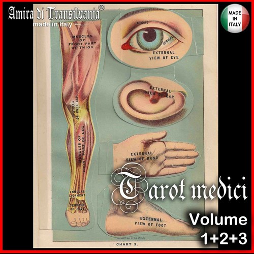 Anatomia vintage libro - anatomia,
