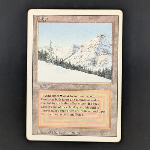 Mtg taiga - mtg, (pl)
