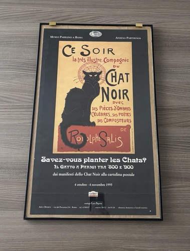 Poster mostra gatto - il, a
