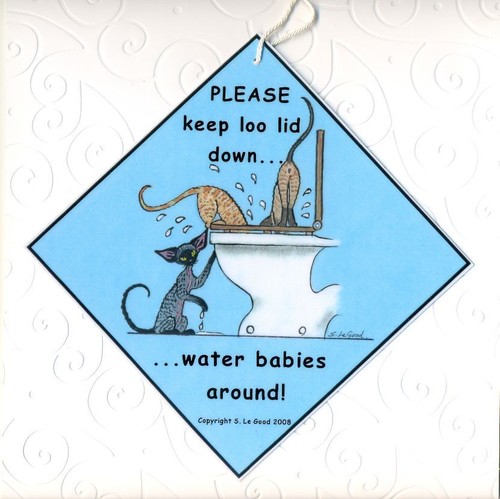 Devon rex cat art sign - devon,