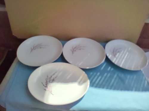 Sci laveno set piatti da - set,