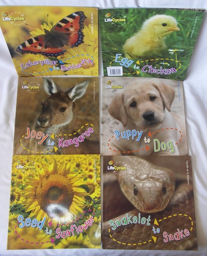 Life cycles books - 6, camilla