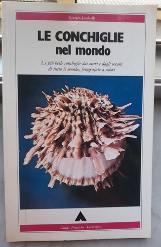 Conchiglie nel mondo - "le,