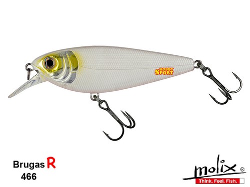 Molix brugas col - molix, 466