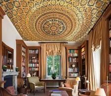 Motivo 3D NA10308 soffitto parete carta murales stampa parete decalcomania deco AJ WALL Fay