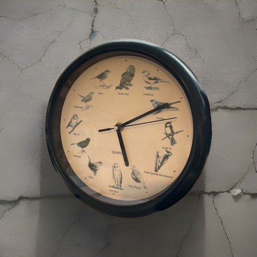 Orologio parete analogico - orologio,
