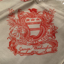 Sciarpa Bandana 26" Generale