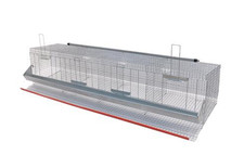 GABBIE GABBIA GALLINE OVAIOLE