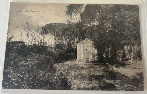 Cartolina san rossore pisa - san,
