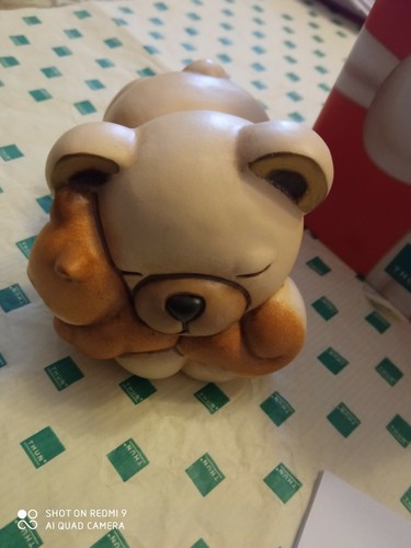 Bellissimo teddy con - bellissimo, 🐿️