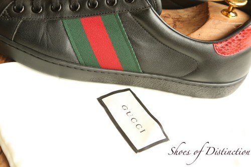 Scarpe ginnastica gucci ace - scarpe,