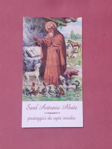Santino sant antonio abate - santino,