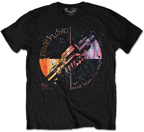 Pink floyd wish - pink, you